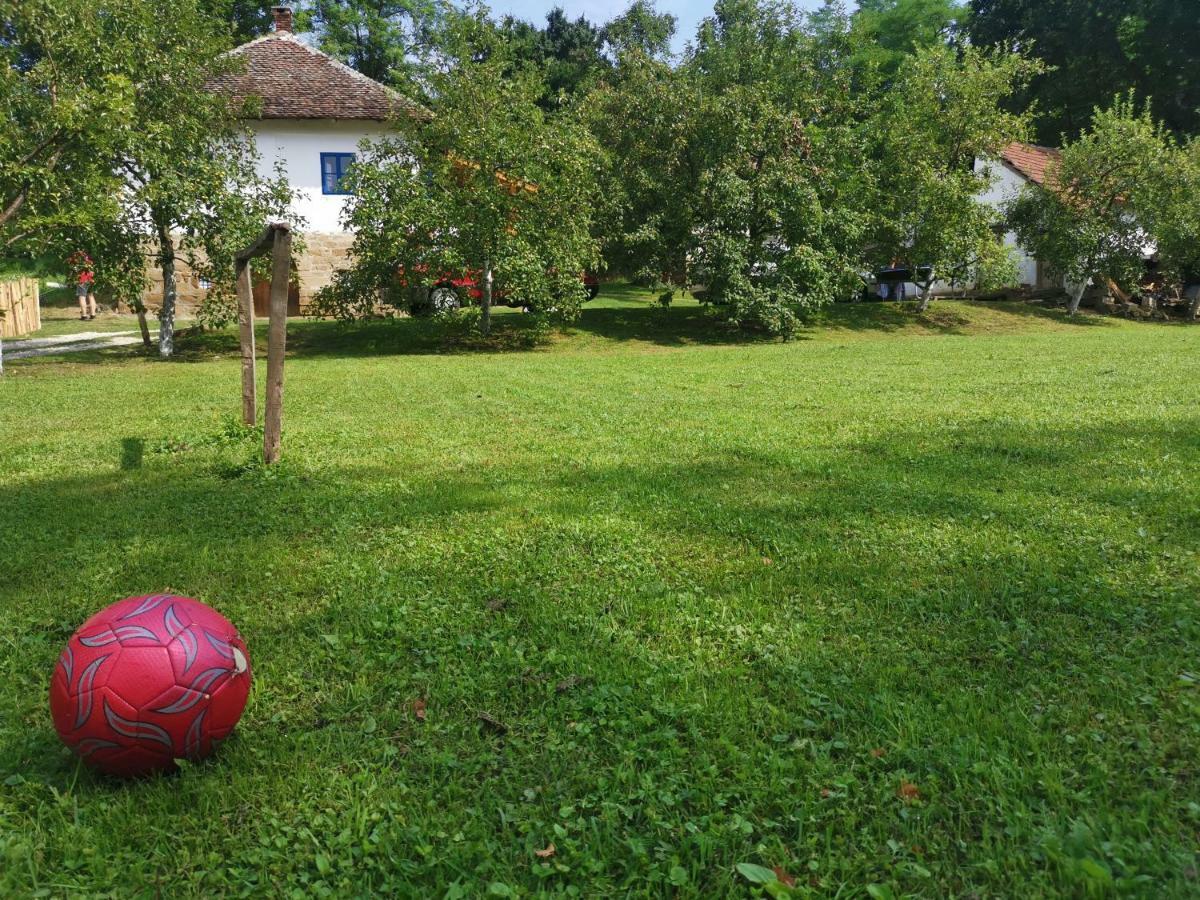 Villa Stara Etno Kuca Radonjic à Guča Extérieur photo